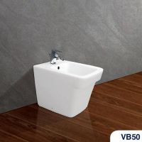 TIỂU NỮ VIGLACERA VB50