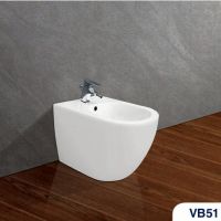 TIỂU NỮ VIGLACERA VB51