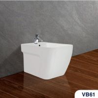 TIỂU NỮ VIGLACERA VB61